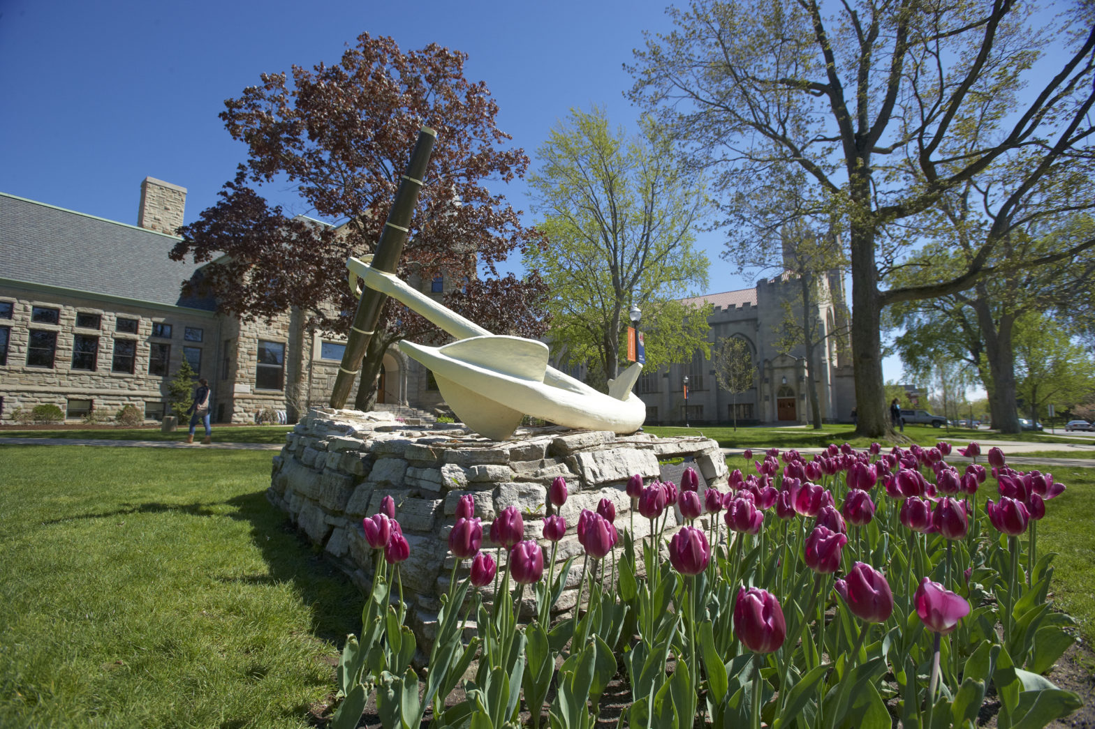 Anchor surrounded by tulips