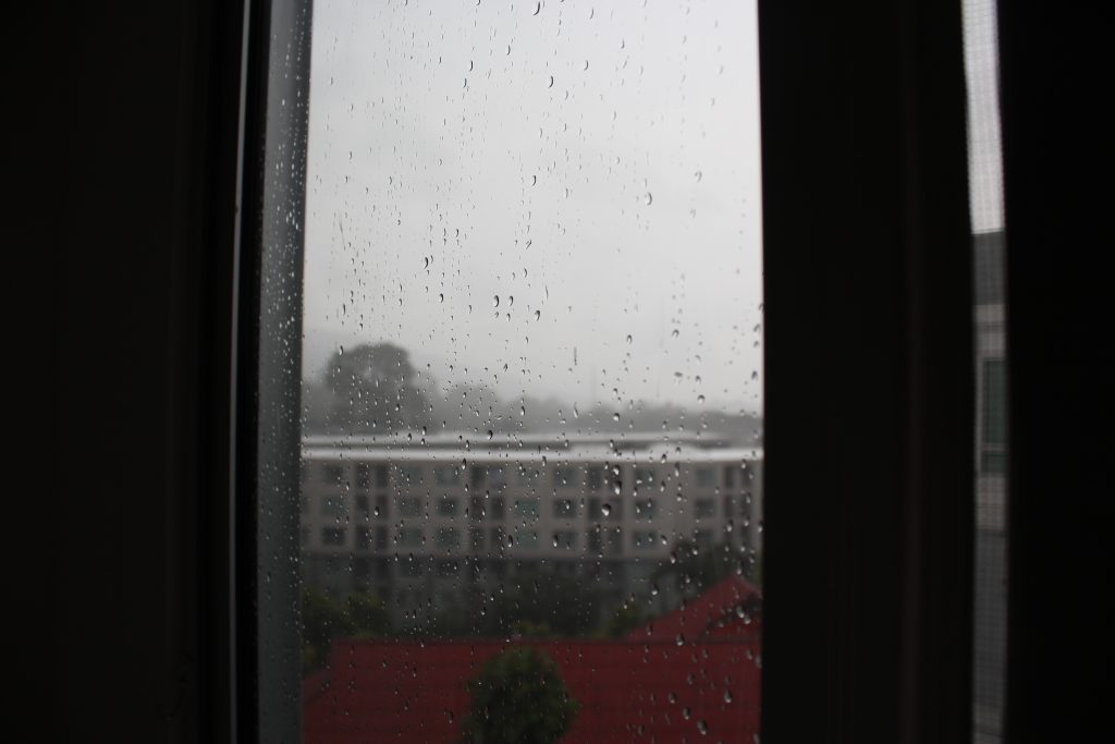 So much rain! A view of the weather outside from my window. 