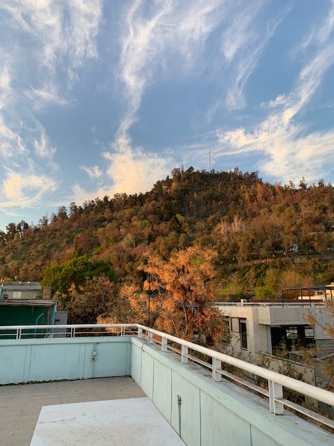 The view of the trees from my homestay (the colors are beautiful)
