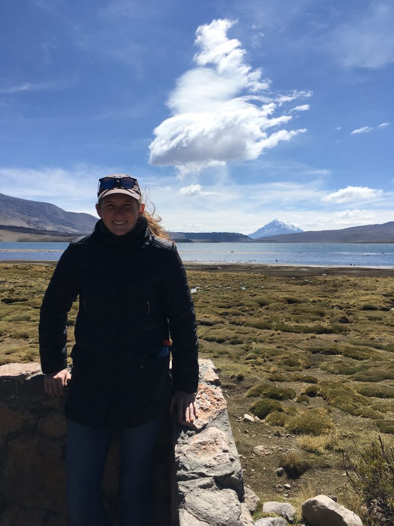 A photo of me standing in front of the Lago Chungará with a mountain that's part of Bolivia visible in the background.