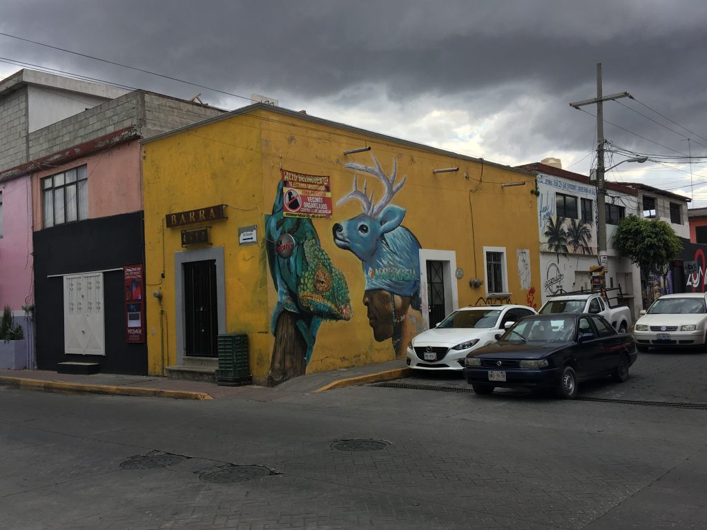 Colorful buildings with some artworks 