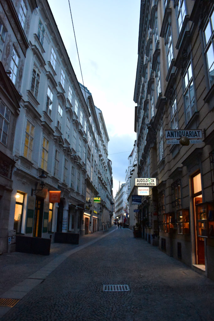 One of the streets I walk through on my commute to class in the first district of Vienna, Austria.