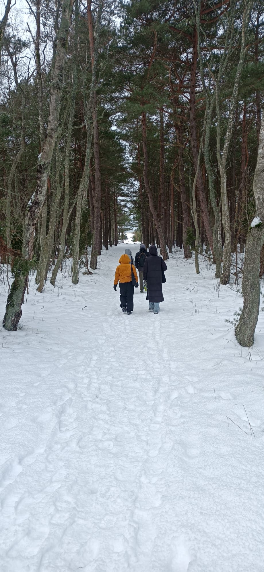 Walking along a path in the snow in Palanga