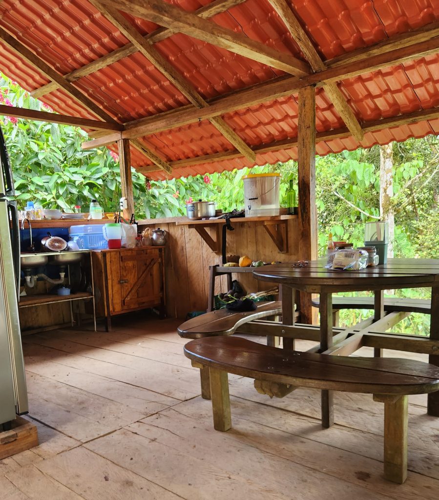 Captured in a medium shot, the image portrays an indoor setting reminiscent of a rustic outdoor kitchen. The room is defined by a wooden structure, primarily featuring a roof adorned with terracotta-colored tiles, supported by timber beams and posts.
To the left, a stainless-steel refrigerator stands tall, with a weathered wooden kitchen workspace adjacent. This workspace contains a double sink, positioned next to a wooden cabinet. Above, a self-installed wooden shelf is laden with various kitchen items.
On the right side of the image, a round wooden table with matching benches dominates the scene. The table's surface is overlaid with assorted items, including packaged goods, jars, and utensils, suggesting ongoing use.
The backdrop of the scene is teeming with lush green vegetation, visible through the open-air gaps in the structure. This greenery includes trees and various plant species, contributing to the space's open and airy atmosphere.
The floor is constructed from roughly hewn wooden planks, adding to the rustic aesthetic. The lighting is soft and natural, casting shadows that enhance the depth and texture of the wooden elements.