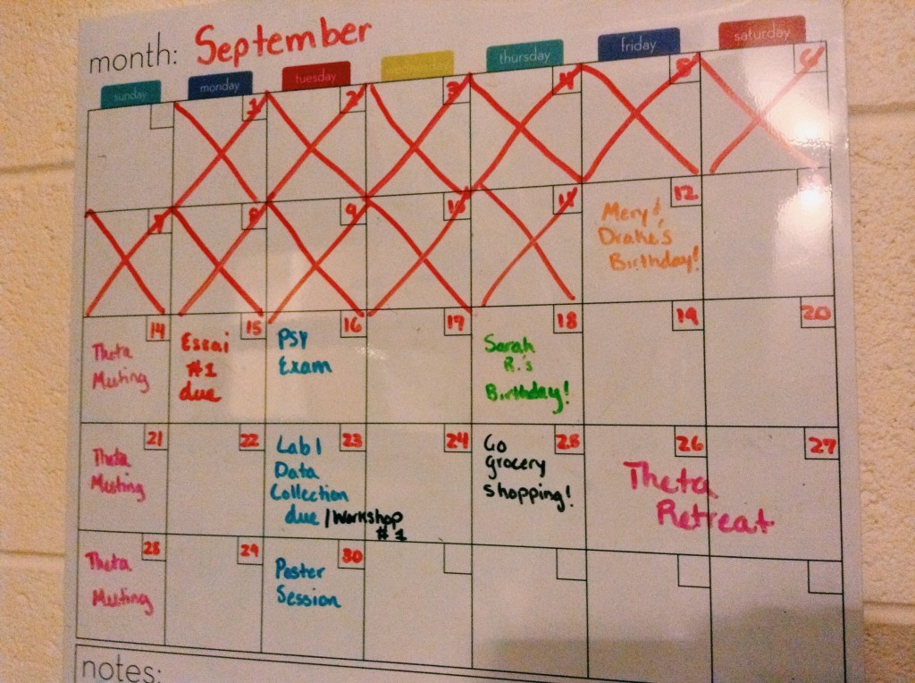 Here's a look at my color coded calendar. Try it and see if it works for you! 