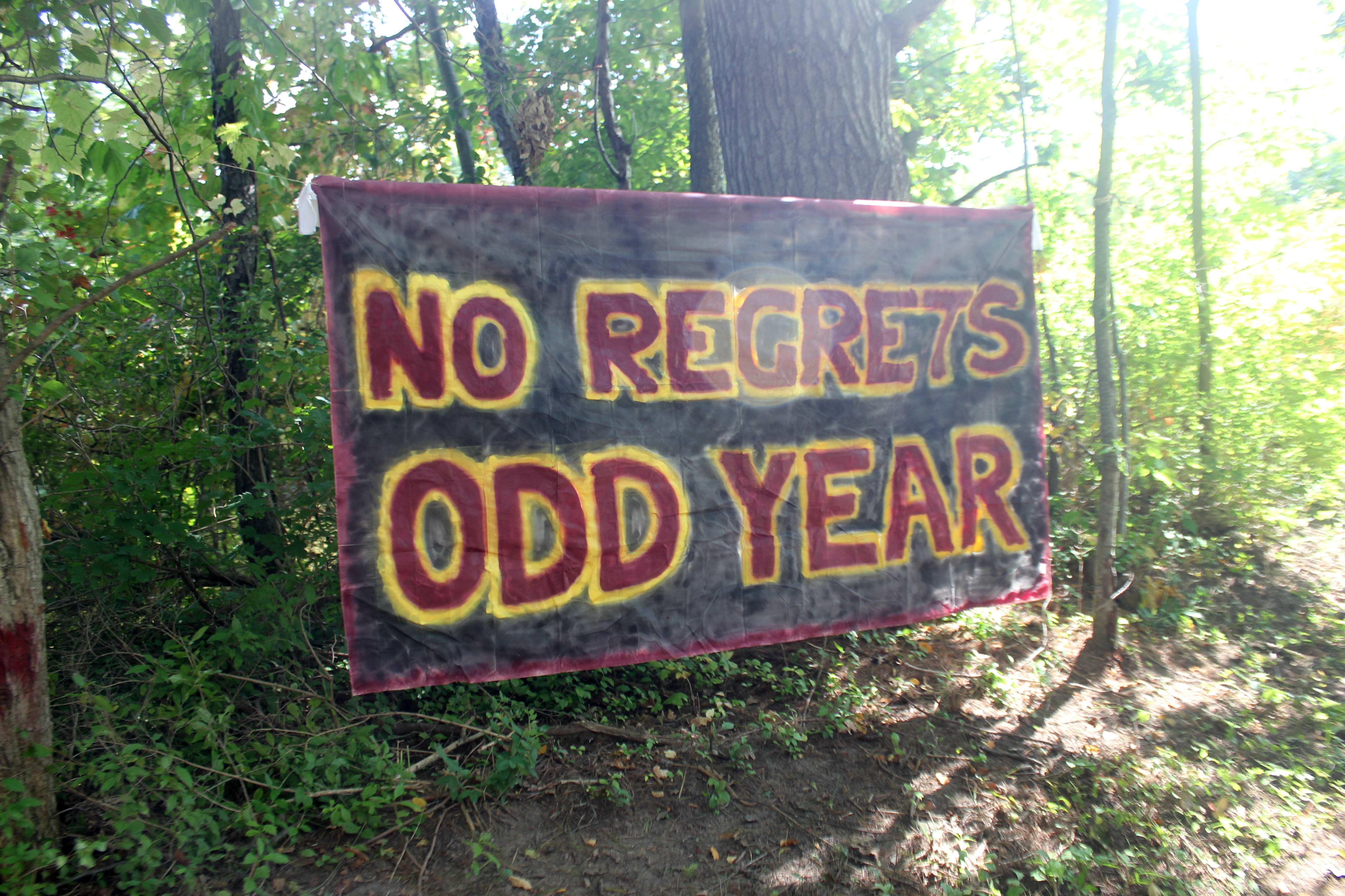 No Regrets: Odd Year