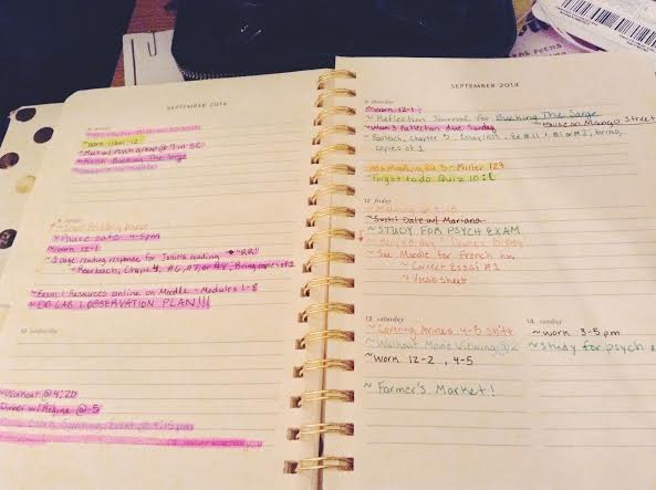 Here's a look into my week thus far. Everything that is done is highlighted!