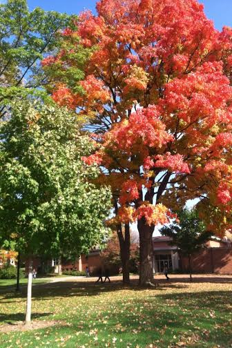 Fall's colors began to pop out on campus.