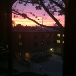 The Giant Tree's branches are featured in this sunset picture I took from my window on Van Vleck's 3rd floor.