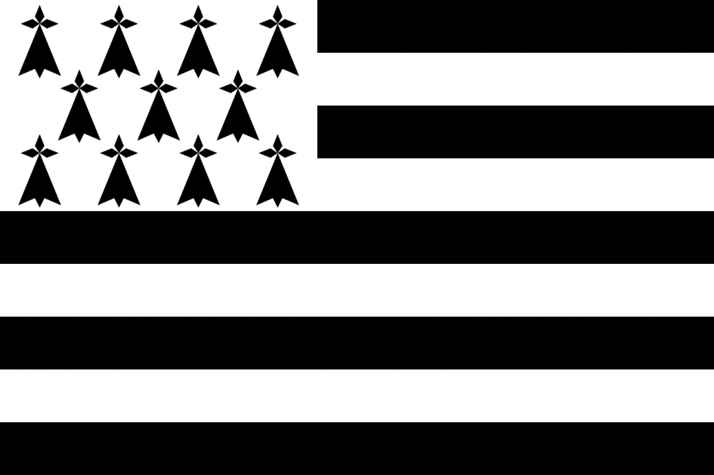 Bretagne's flag, in Breton, is called the Gwenn ha du, which means "black and white." The tree-like symbols in the upper left are called "hermines." There is a lot of symbolism with the nine stripes (4 white and 5 black) as well, but it would take a long time to explain. Go read about it, though! It's really interesting. 