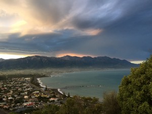 How can Kaikoura not have a special place in my heart with such beauty as this?
